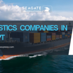 logistics companies in egypt
