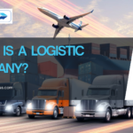 What is a logistic company?