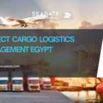 Project cargo logistics management Egypt