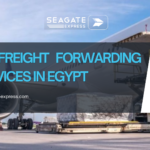 Air freight forwarding services in Egypt
