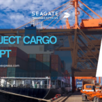 project cargo Egypt