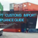 egypt customs import compliance guide