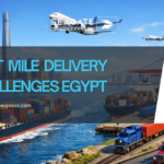 last mile delivery challenges egypt