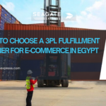 How to Choose a 3PL Fulfillment Partner for E-commerce in Egypt